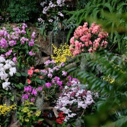 haoli-chen-MQd851Xkcgc-unsplash-min